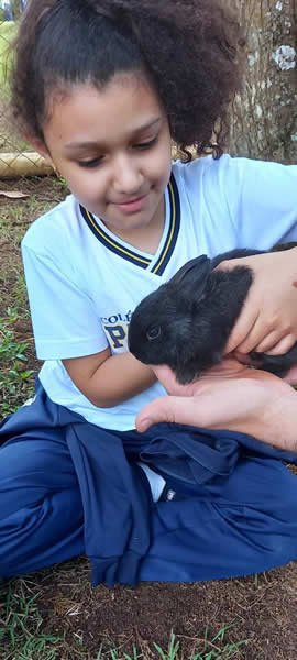 Bicho Mania 2022